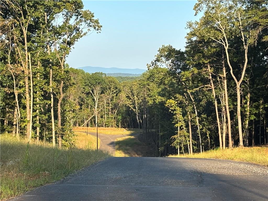 Lot 13 Norton Trail