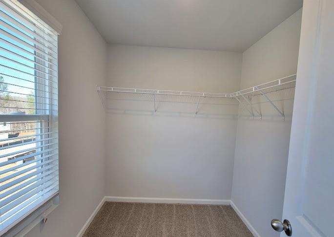 15 Fontana Court, Covington, Georgia image 18