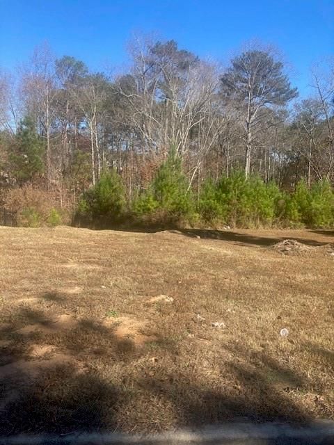 Vacant Land For Sale - 1116 Falkirk Lane<br/> Stone Mountain, GA 30087