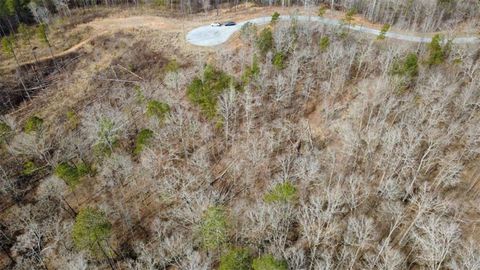 Vacant Land For Sale - LOT 43 Bucktail Way<br/> Talking Rock, GA 30175