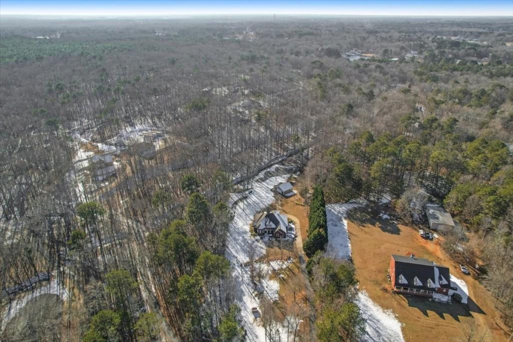 323 Winding Stream Trail, Hampton, Georgia image 9