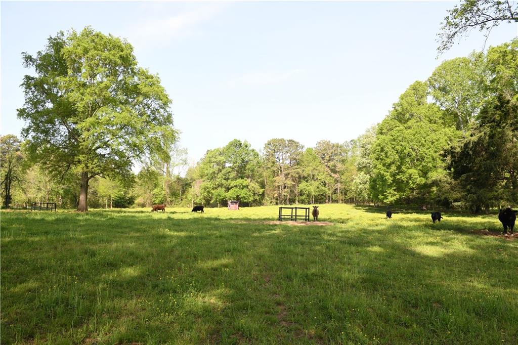 446 Brown Bridge Road, Chatsworth, Georgia image 49