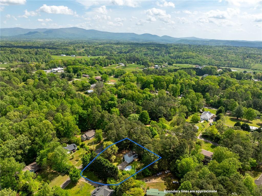 169 Deer Chase Drive Dr, Jasper, Georgia image 33