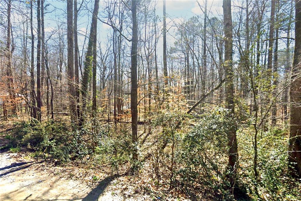 Undeveloped residential lot bordering US Corps/Lake Lanier, located minutes from Highway GA 400, Downtown Cumming City Center,
Lake Lanier and Northside Hospital. Perfect lot for an investment property, second home, or spec build. Rare single lot in a rapidly growing area, with no HOA and a community lake ramp!