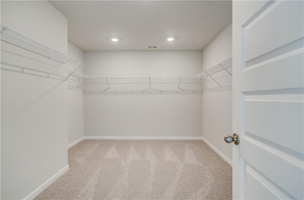 123 Felicity Pike, Locust Grove, Georgia image 31
