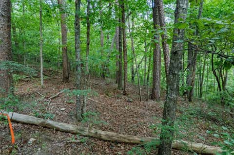 Vacant Land For Sale - LOT 6 Heatherwood Way<br/> Talking Rock, GA 30175