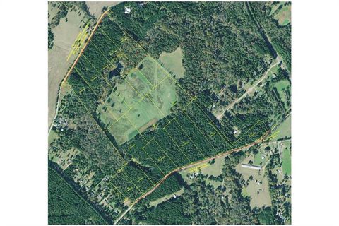 LOT 8 Wallace Madison GA 30650