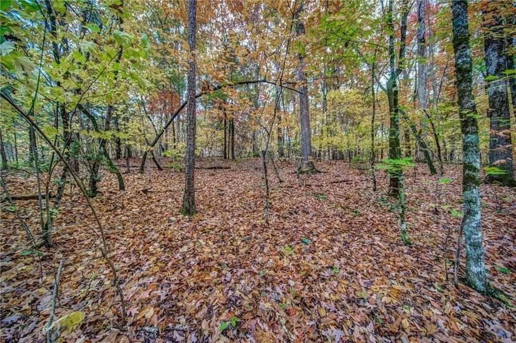 543 Cove Lake Drive, Marble Hill, GA, 30148