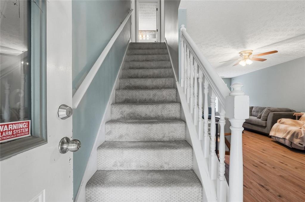 3343 Pommel Court