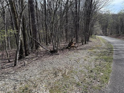 Vacant Land For Sale - 189 St Andrews Way<br/> Ellijay, GA 30536