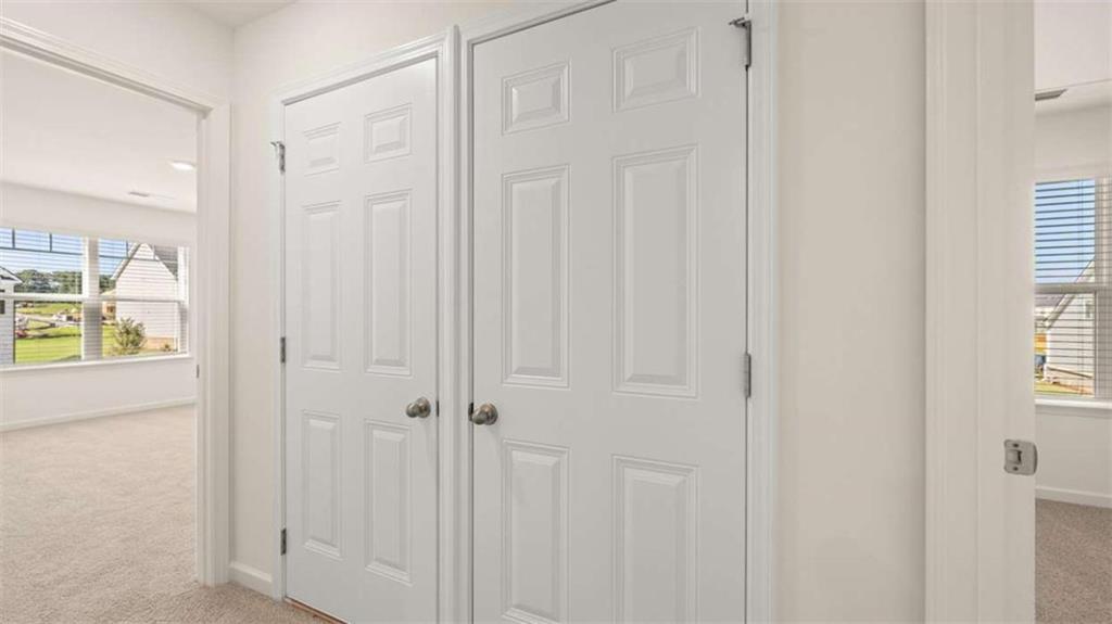 1139 Blue Juniper Circle, Loganville, Georgia image 49
