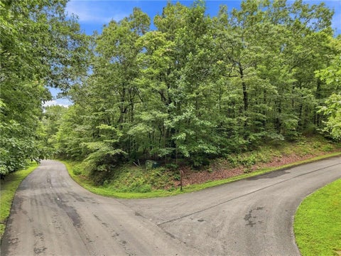 Vacant Land For Sale - LOT197 St Andrews Way<br/> Ellijay, GA 30536