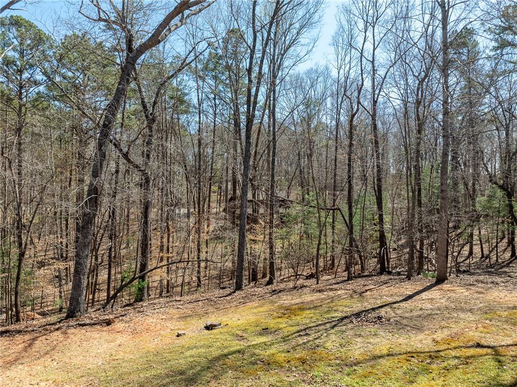 135 Adina Drive, Ellijay, Georgia image 10