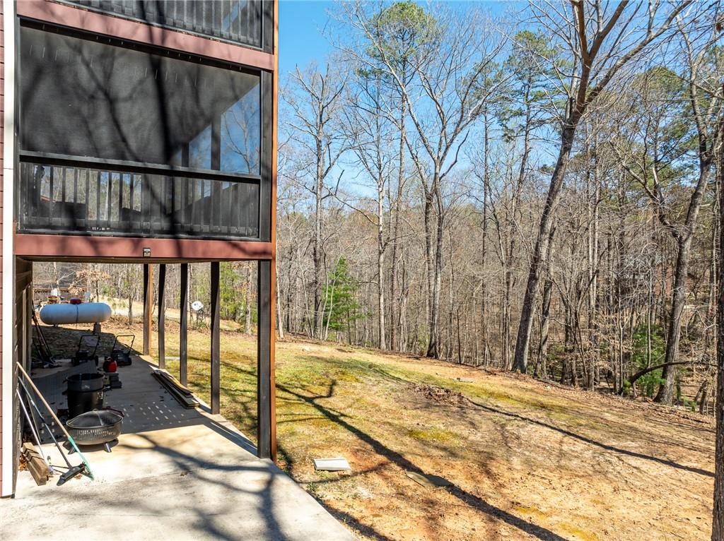 135 Adina Drive, Ellijay, Georgia image 7
