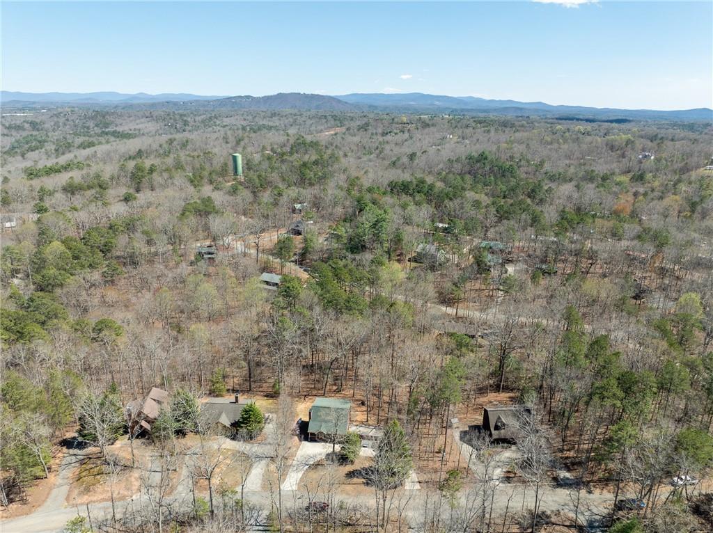 135 Adina Drive, Ellijay, Georgia image 12