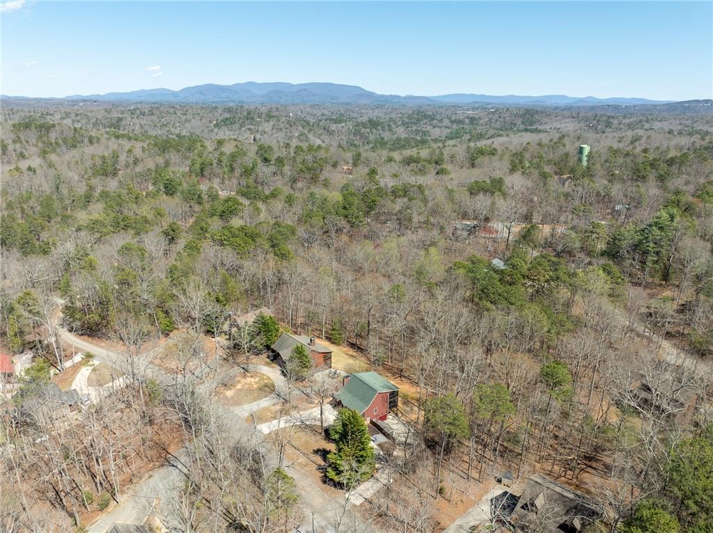 135 Adina Drive, Ellijay, Georgia image 13
