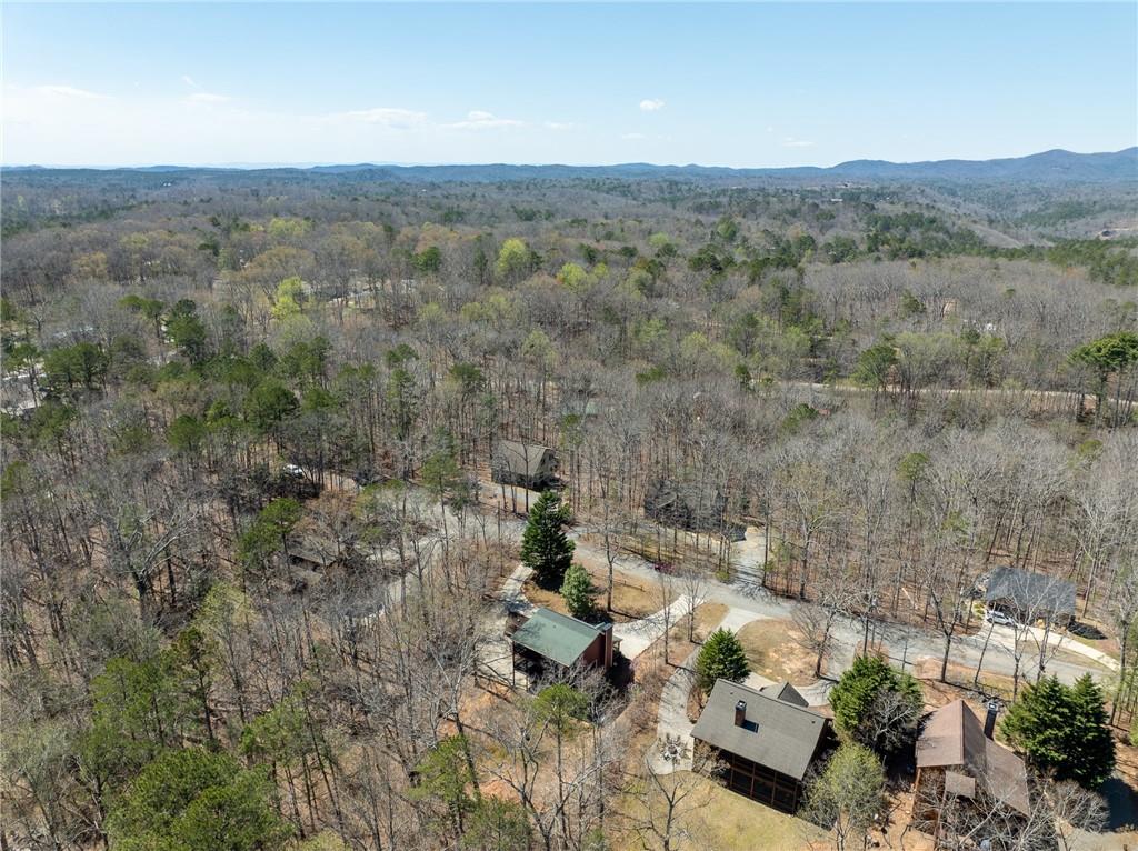 135 Adina Drive, Ellijay, Georgia image 15