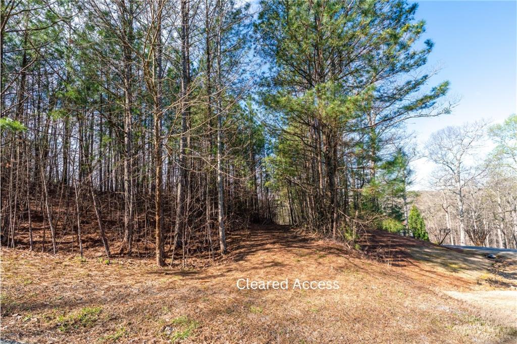 14 Hawks Branch Lane