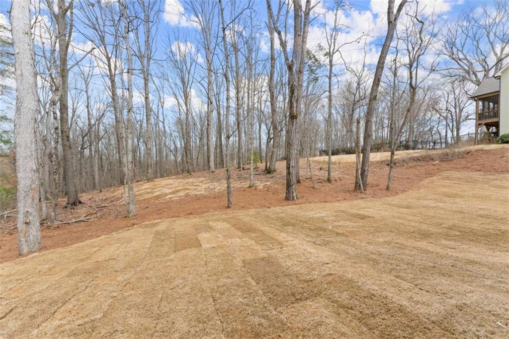 5850 Canterbury Way, Clermont, Georgia image 48