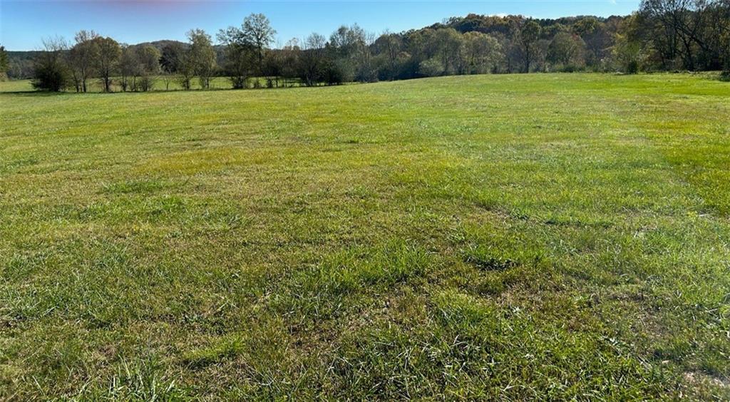 Johnson Lake Road, Cedartown, Georgia image 1