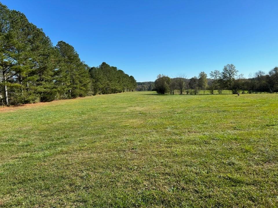 Johnson Lake Road, Cedartown, Georgia image 5