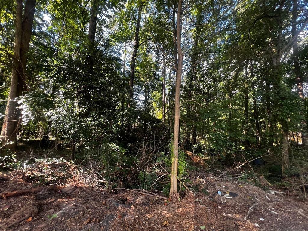 4074 Panola Road