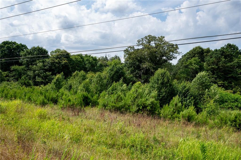 Highway 140, Adairsville, Georgia image 7