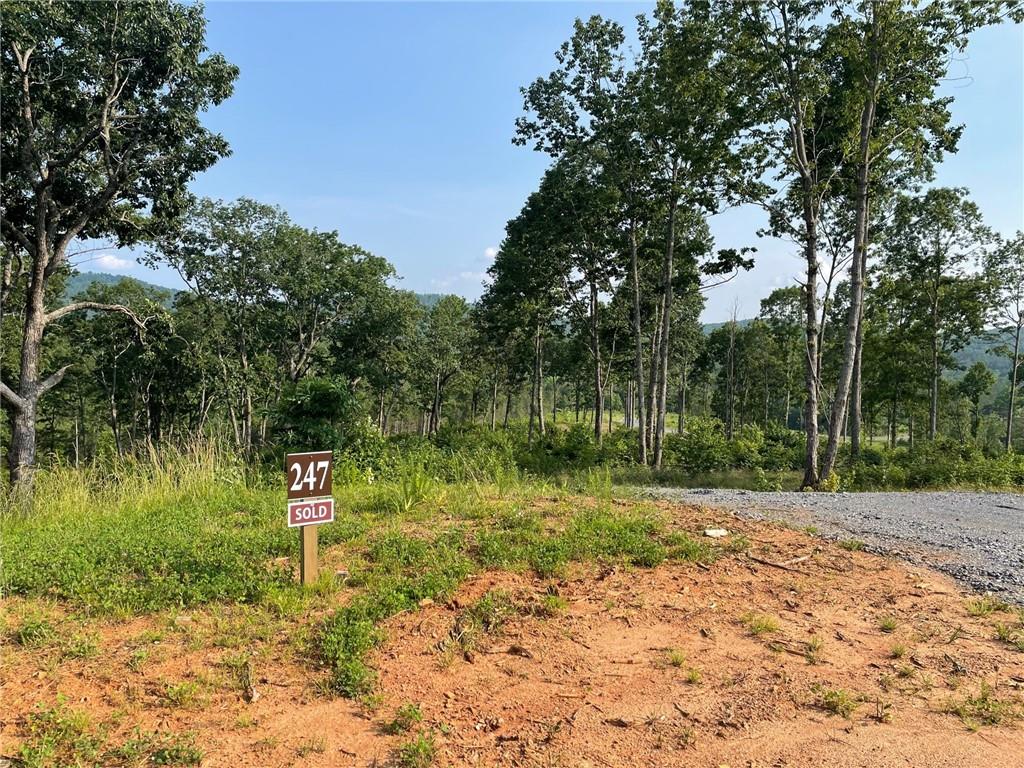 Highgrove Drive, Talking Rock, Georgia image 4