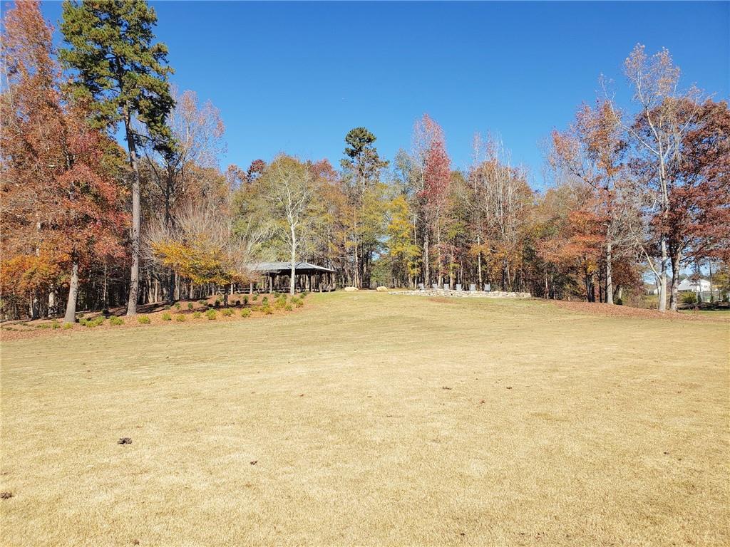 309 Great Salt Lane, Hoschton, Georgia image 40