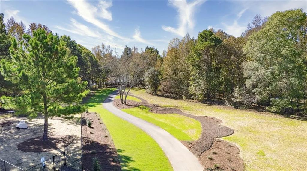 309 Great Salt Lane, Hoschton, Georgia image 32