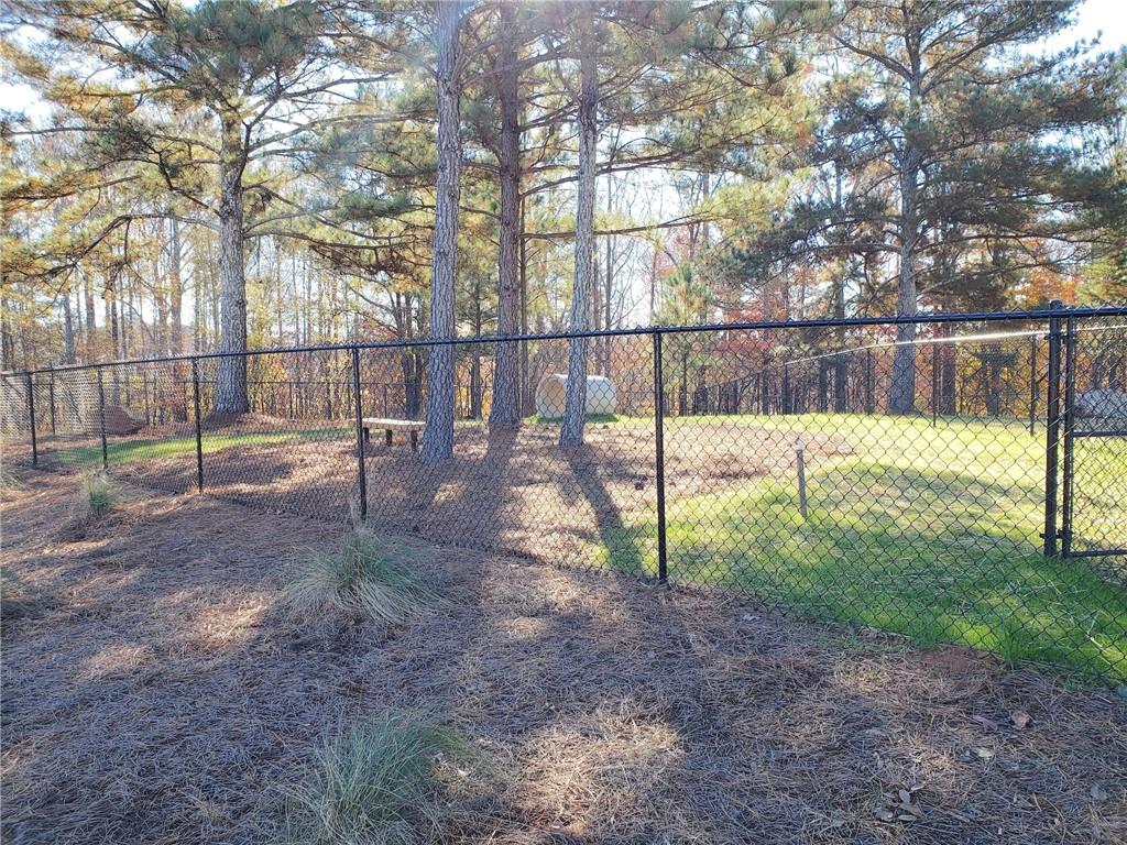 309 Great Salt Lane, Hoschton, Georgia image 41