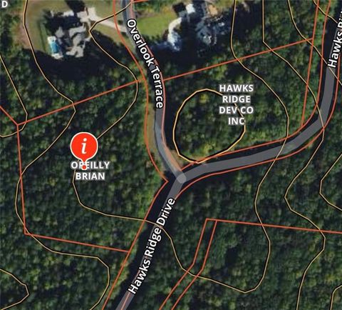 1001 Overlook Terrace Ball Ground GA 30107