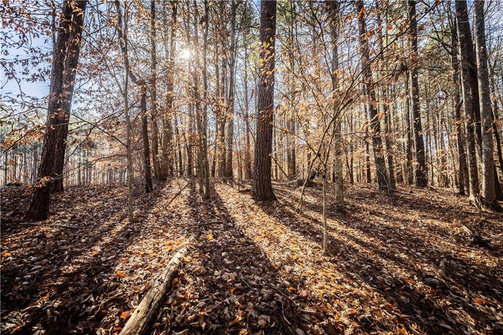 1001 Overlook Terrace