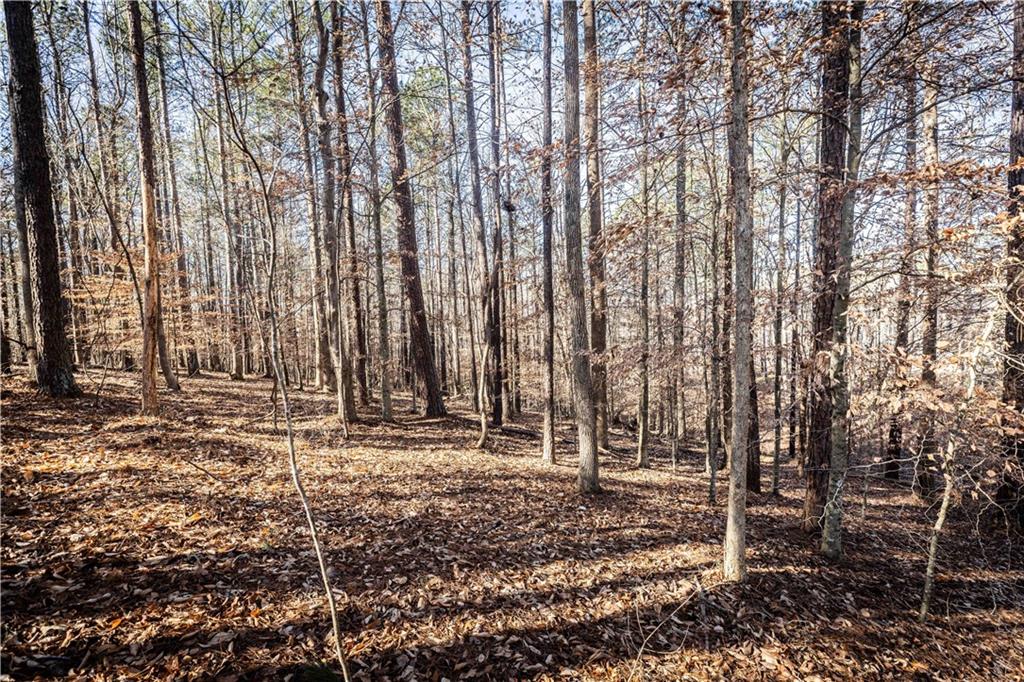 1001 Overlook Terrace