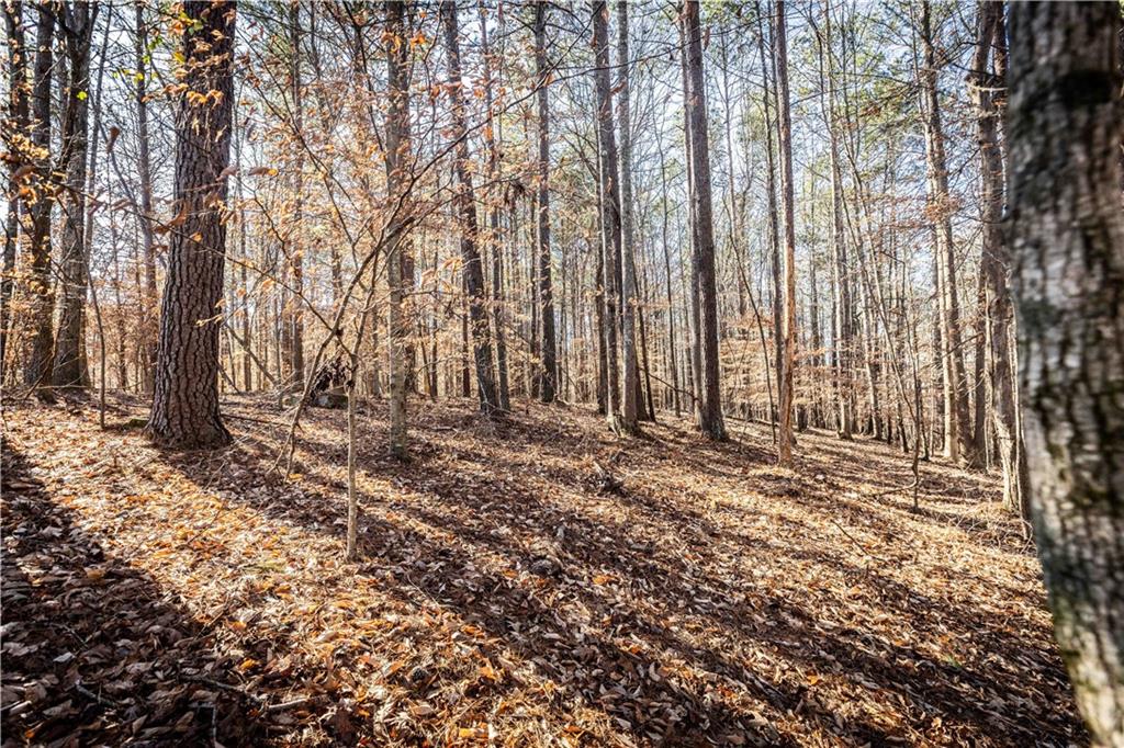 1001 Overlook Terrace