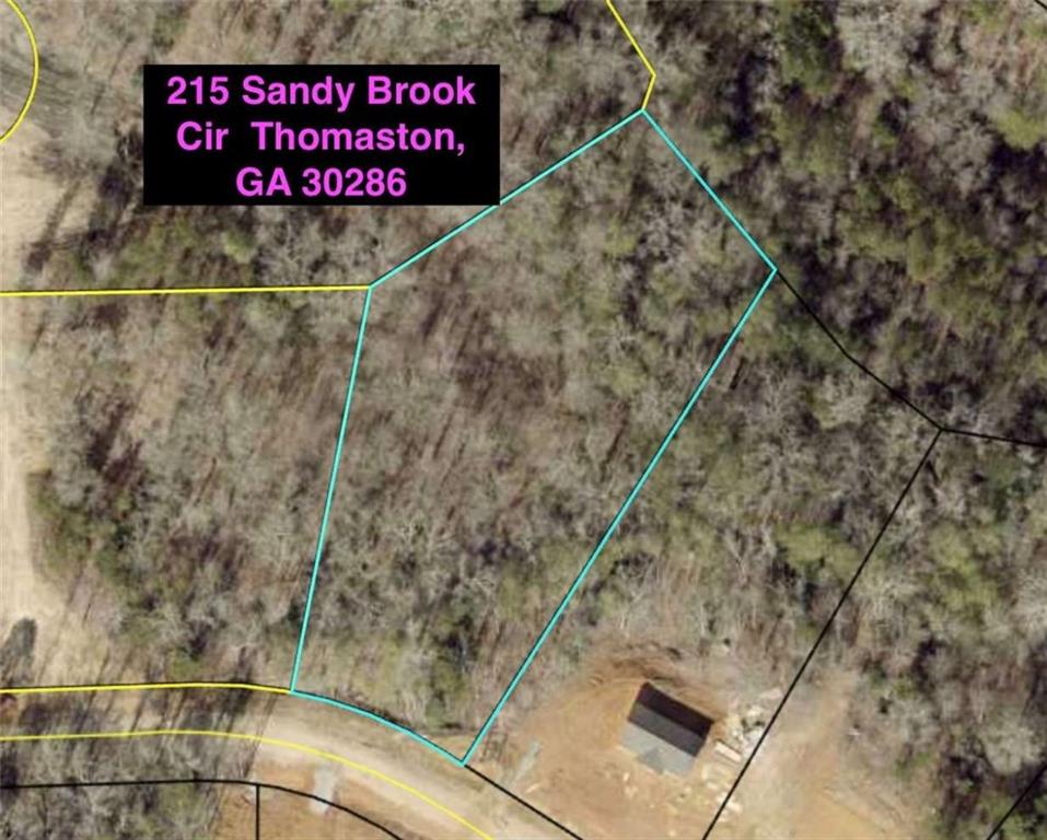 304 Spring Way, Thomaston, Georgia image 4