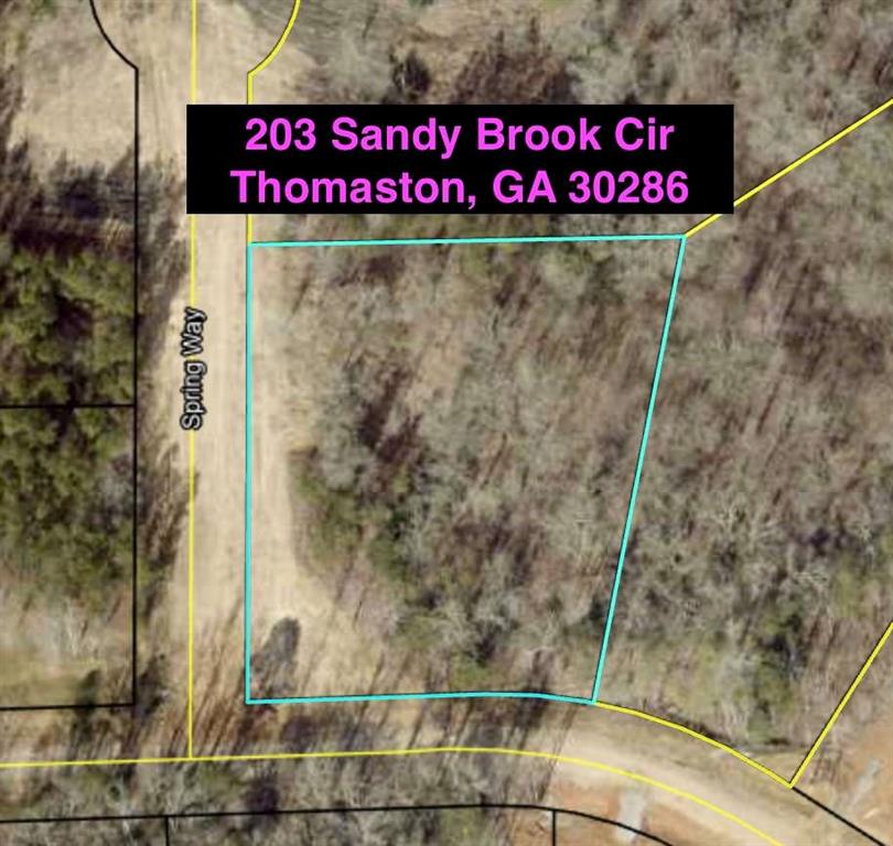 304 Spring Way, Thomaston, Georgia image 3