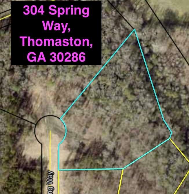 304 Spring Way, Thomaston, Georgia image 2