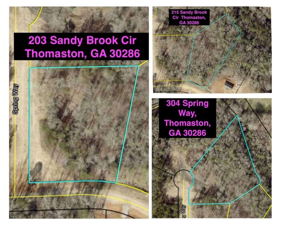 304 Spring Way, Thomaston, Georgia image 1