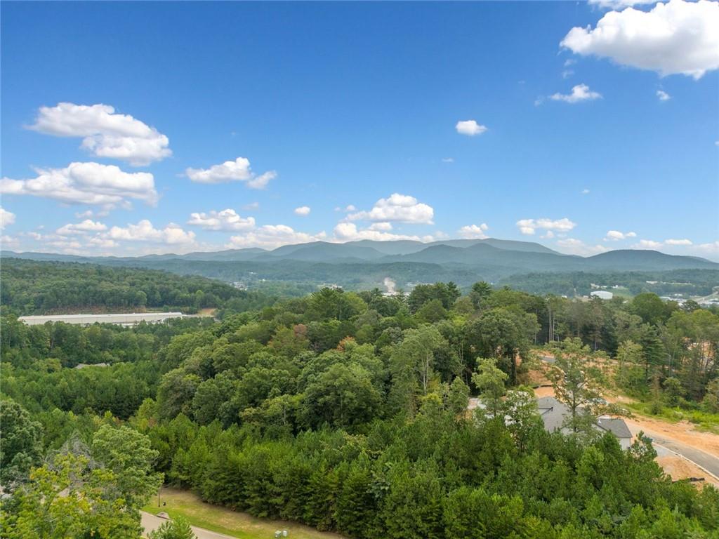 117 Pinnacle Way, Ellijay, Georgia image 27