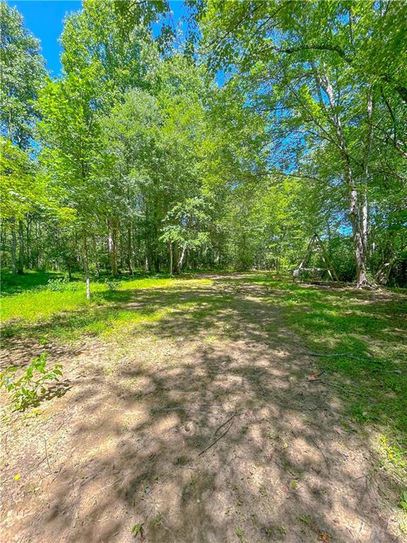 236 Gordon Drive, Morganton, Georgia image 39