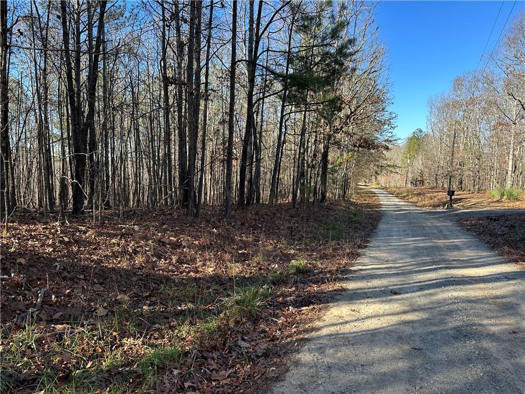 Budapest Road, Tallapoosa, Georgia image 3