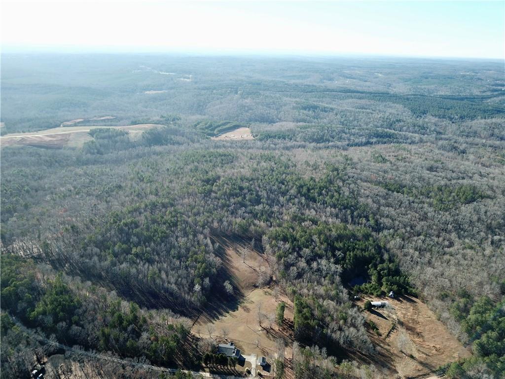 Budapest Road, Tallapoosa, Georgia image 18