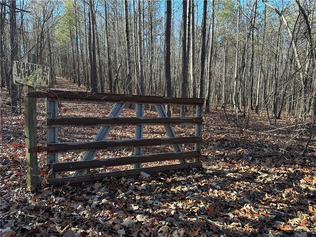 Budapest Road, Tallapoosa, Georgia image 8