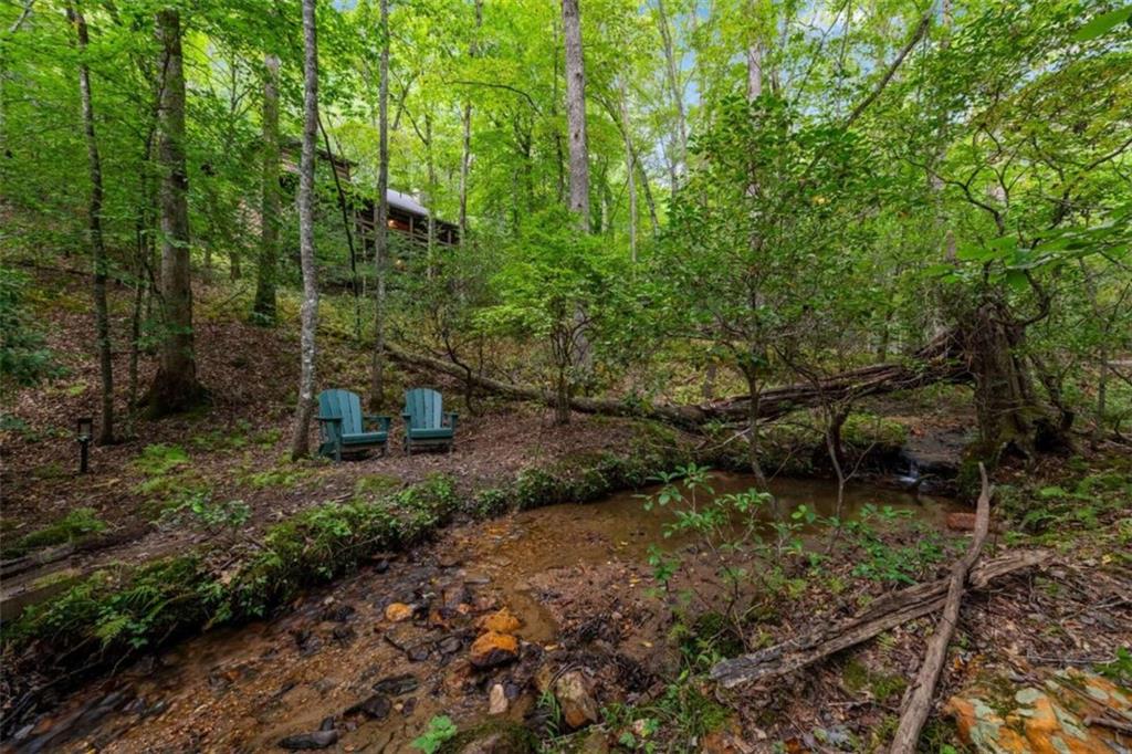 421 Weeks Creek Road