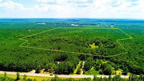 Vacant Land For Sale - 4444 Rea Lagrange Highway<br/> Greenville, GA 30222