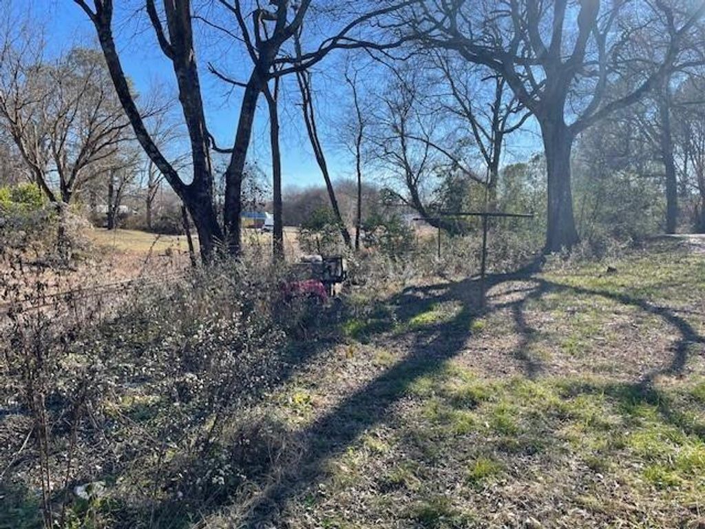 Photo of 427 Park Street, Cedartown, GA 30125 (MLS # 7685351)