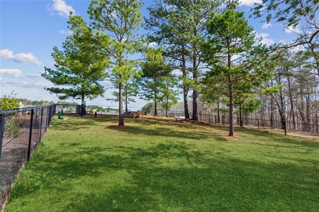 117 Mead Court, Hoschton, Georgia image 31