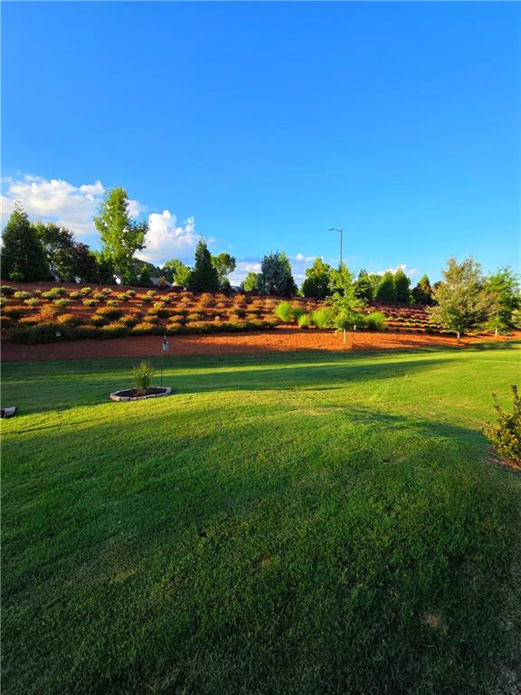 DEL WEBB @ CHATEAU ELAN - Residential