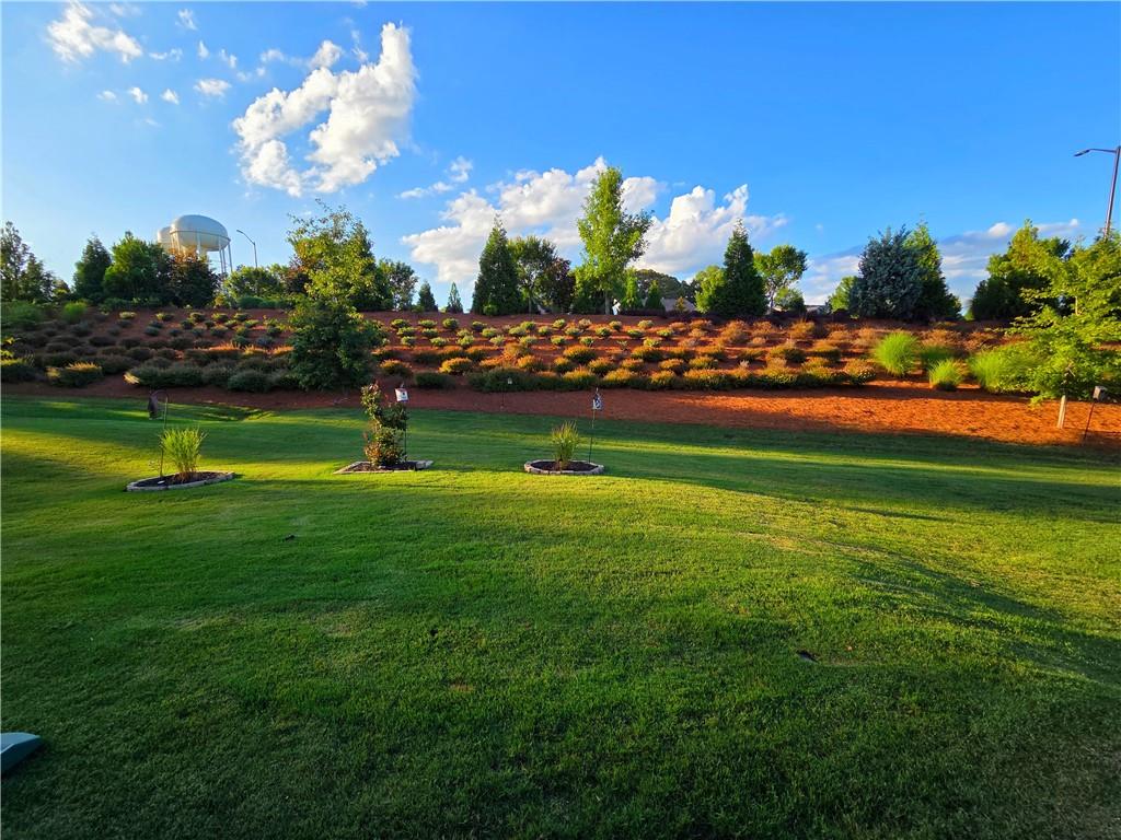 DEL WEBB @ CHATEAU ELAN - Residential